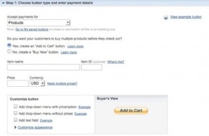 paypal screenshot1 300x196 دليل أصحاب المواقع لعربات التسوق الإلكترونية