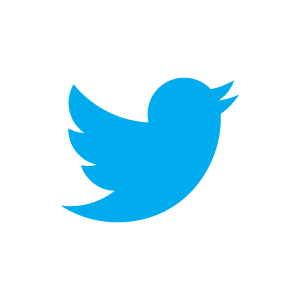 twitter bird light bgs تويتر يعمل على إيجاد وسيلة تمكن المستخدمين من تحميل تغريداتهم القديمة