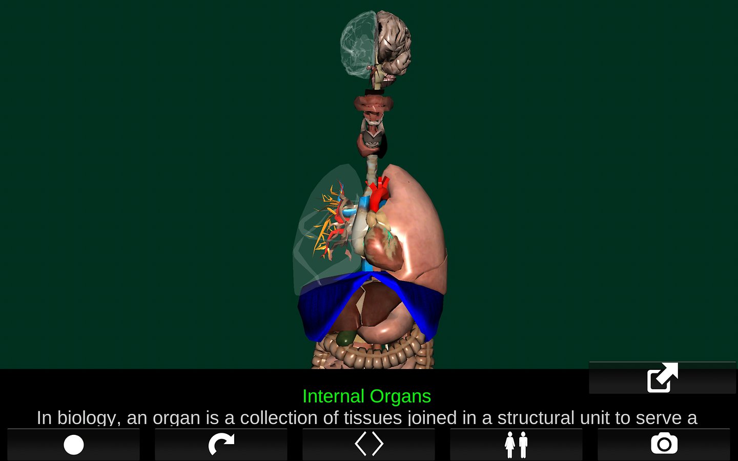 تطبيق Organs 3D يُقدّم نماذج ثلاثية الأبعاد لأجهزة جسم الإنسان مع شرح كل عضو