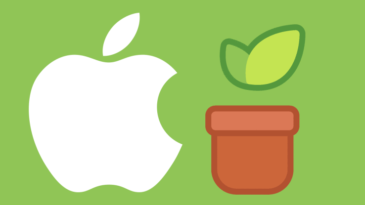 apple-learnsprout