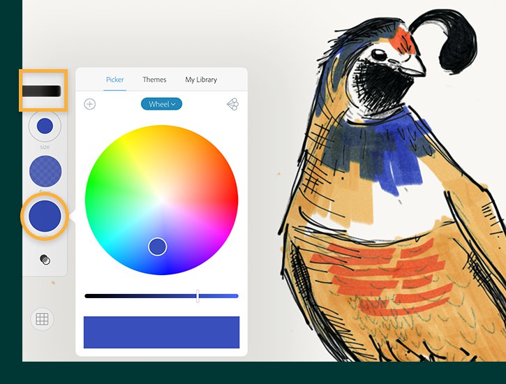 أدوبي تُطلق تطبيقاتها Photoshop Sketch و Comp CC على أندرويد
