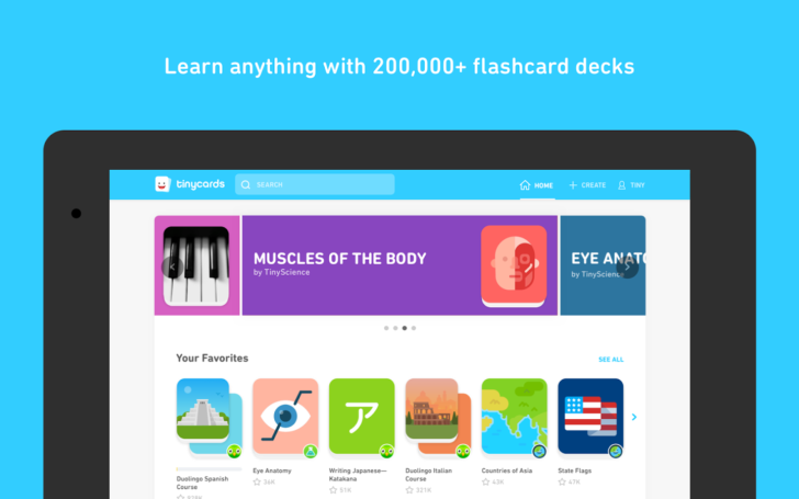 Duolingo تطلق تطبيقها التعليمي TinyCards على أندرويد