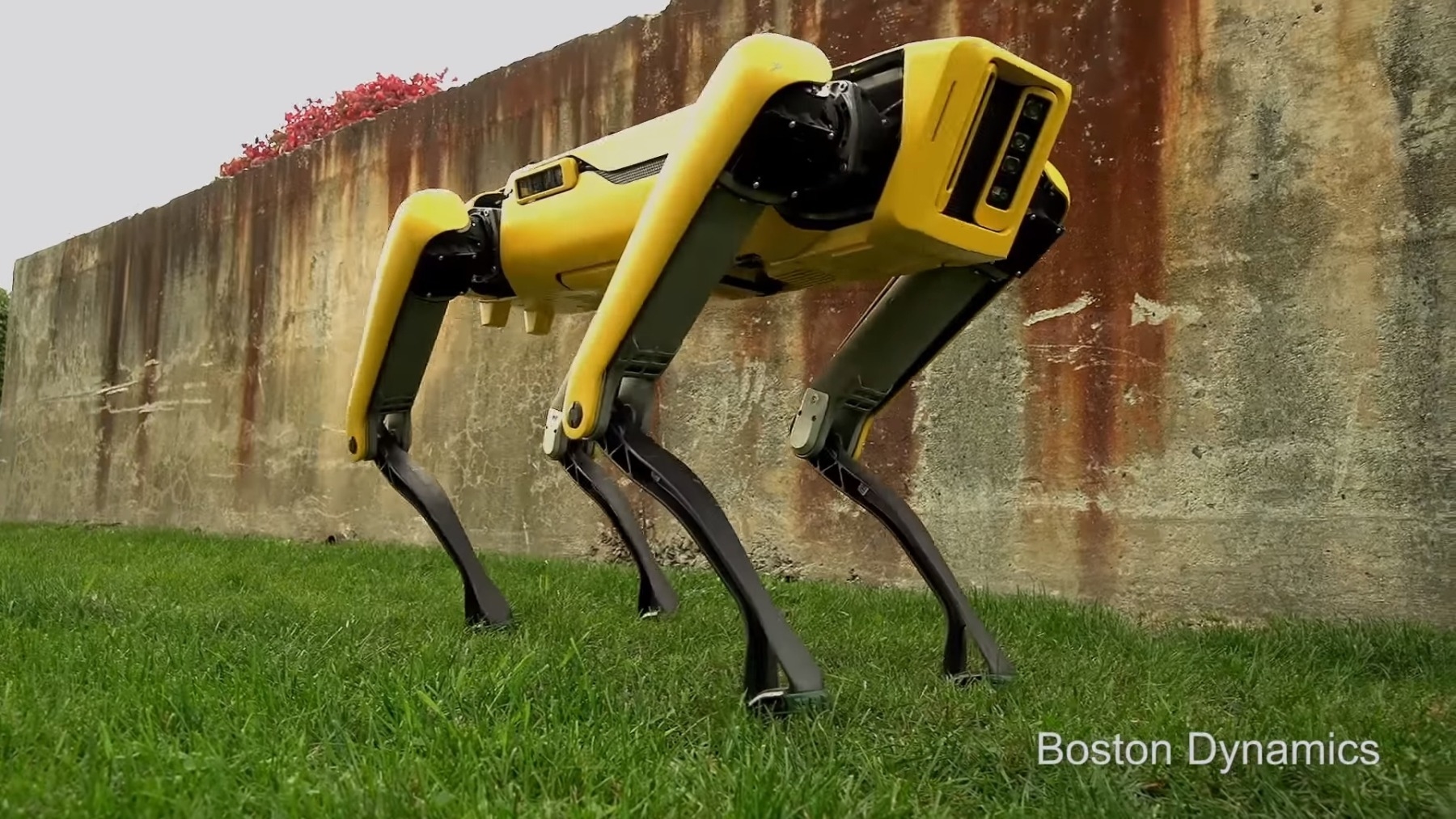 Boston Dynamics روبوت