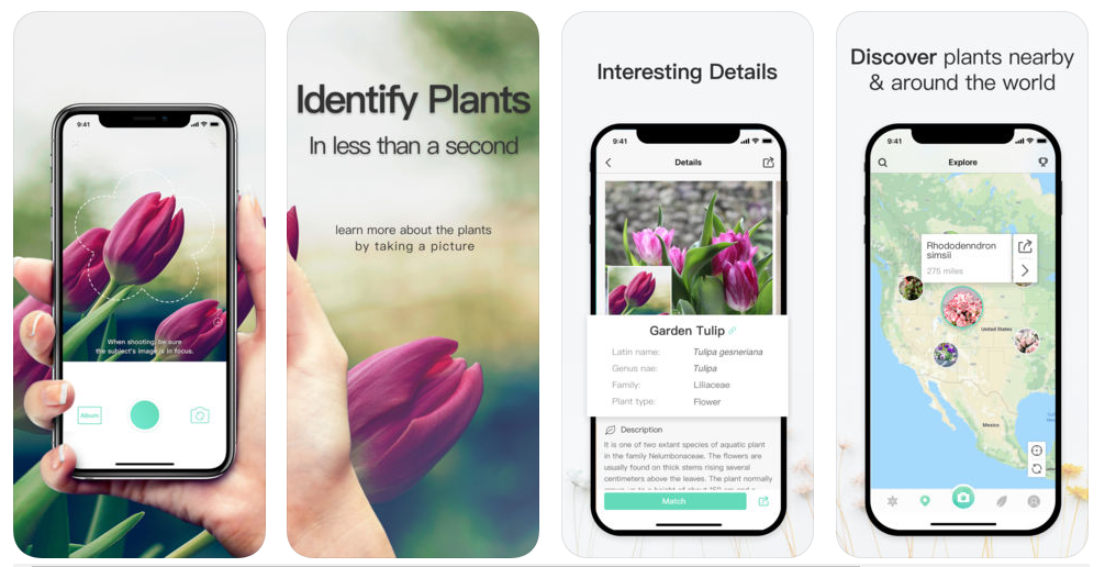 تطبيق PictureThis لمعرفة أنواع النبات والأشجار بواسطة الكاميرا