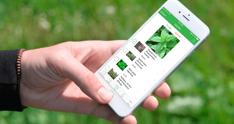 تطبيق PlantSnap للتعرّف على الزهور والأشجار والنباتات عبر التقاط صورة لها