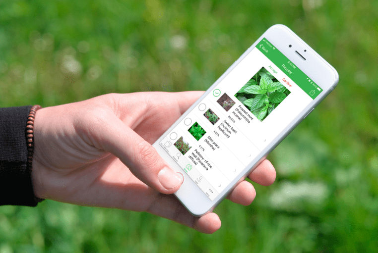تطبيق PlantSnap للتعرّف على الزهور والأشجار والنباتات عبر التقاط صورة لها
