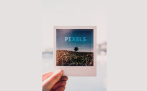 تطبيق Pexels مجتمع لأخذ الصور ومشاركتها بدون حقوق ملكية